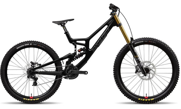 Santa Cruz V10 DH X01