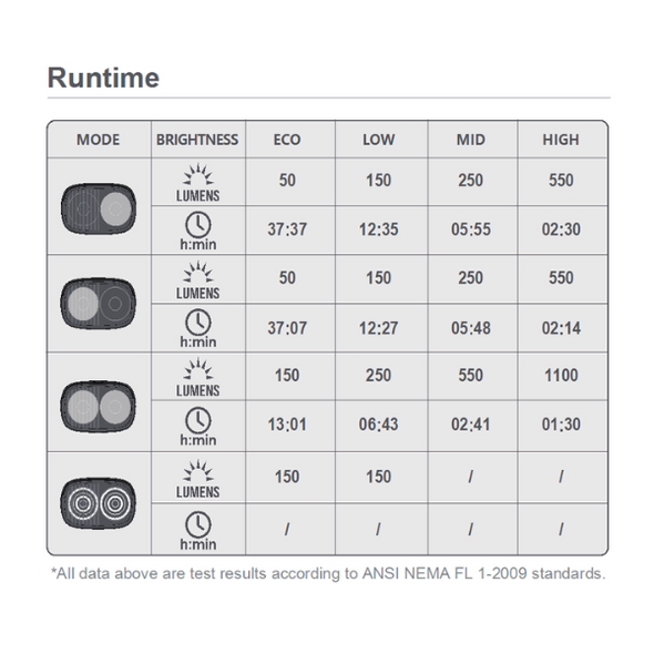 Ray1100 Runtime