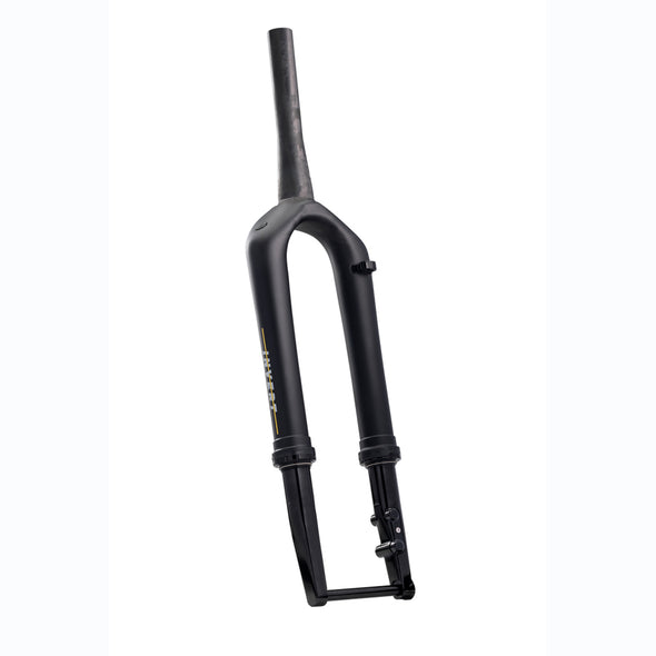 Cane Creek Invert SL Gravel Fork 30mm with Ancora expander plug and 52mm bearing

